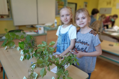 IMG_20240430_082005