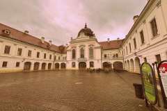 IMG_5688